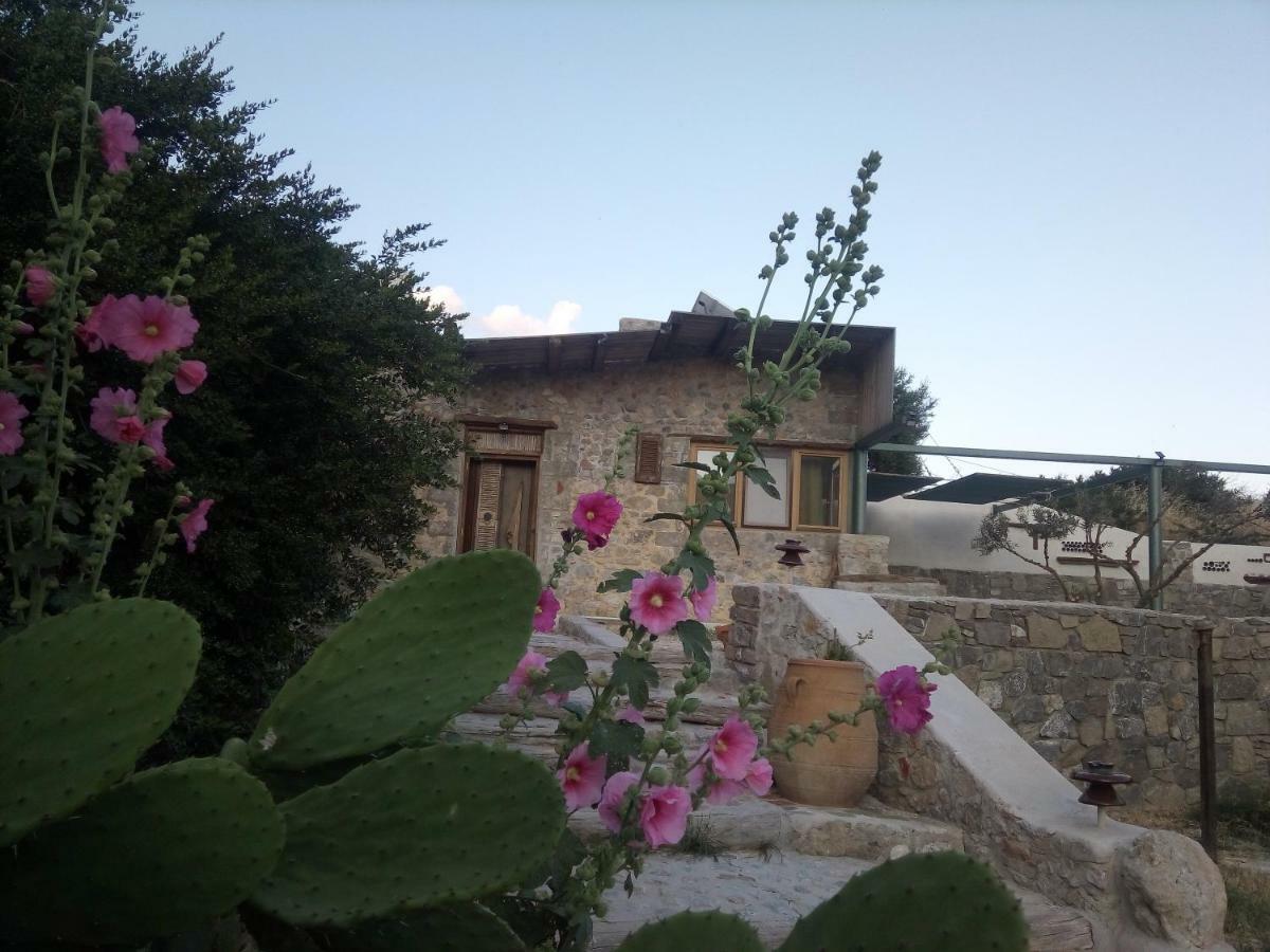 Dream Residence Agios Ioannis  Extérieur photo